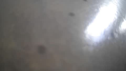 frank_sweetdick online show from May 2026 04:48:01 PM