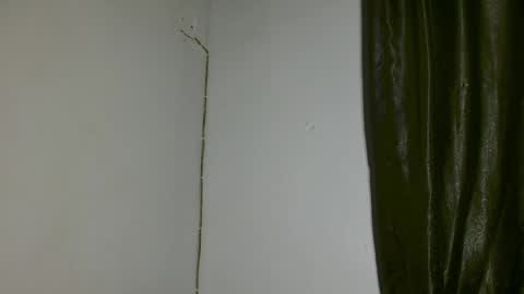 luna online show from April 2026 03:26:02 AM