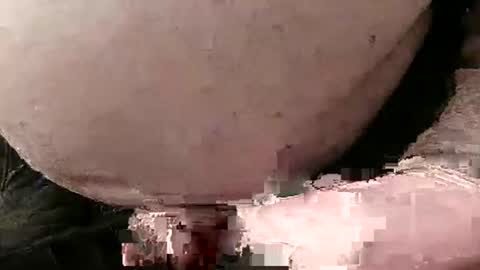 David Fredal online show from January 2025 05:03:01 PM