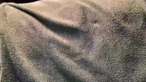 Snapshot of fredasstare chatting on November 2025 12:24:01 AM Fred online show from November 2025 12:24:01 AM