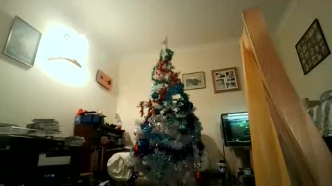 Keith online show from December 2024 07:49:01 PM