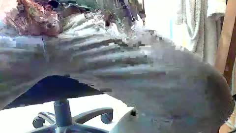 frenchpapalover online show from February 2025 01:14:01 PM