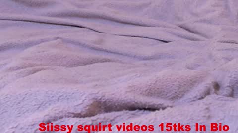 Meadow online show from September 2025 11:14:01 AM