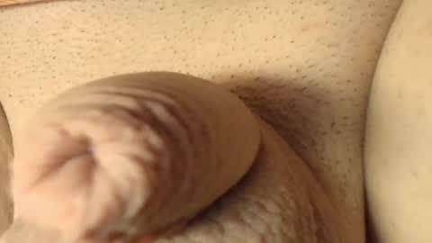 Meadow online show from March 2026 10:56:02 AM