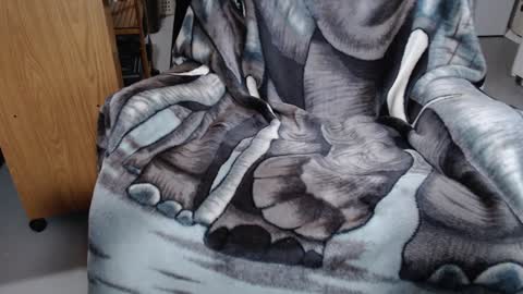 Froy4989 online show from January 2025 04:05:01 PM