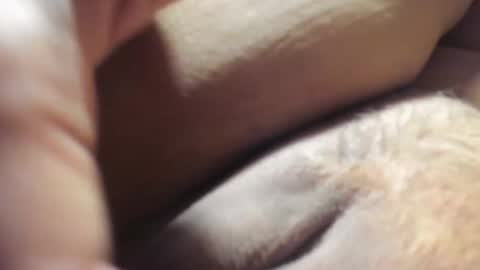 Snapshot of frumcake chatting on December 2024 01:18:01 AM FrumCake online show from December 2024 01:18:01 AM