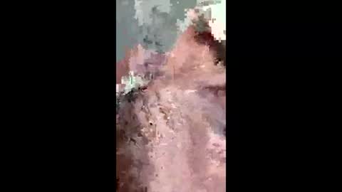 fukitol73 online show from April 2026 09:28:01 PM