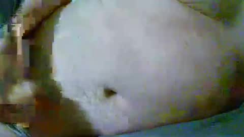 fultonstreet196860 online show from April 2026 12:38:02 AM