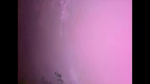 Daniel kim online show from November 2025 07:30:01 PM