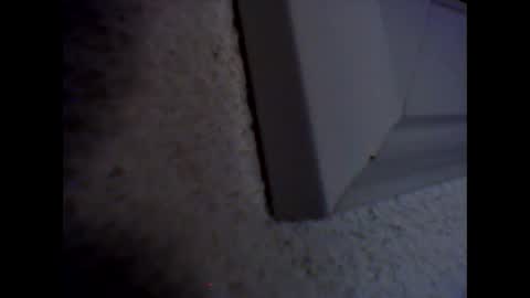 furcoatslave online show from December 2024 09:01:01 PM