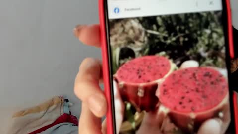 Gabi online show from January 2025 12:50:02 PM