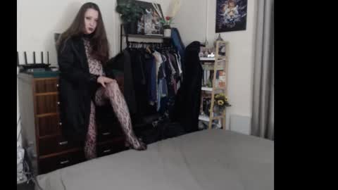 HOT  online show from November 2025 12:16:01 PM