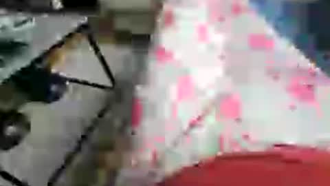 Snapshot of garbis11 chatting on July 2026 02:45:02 PM garbis11 online show from July 2026 02:45:02 PM