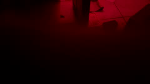 Snapshot of garrick358091 chatting on November 2025 04:25:02 AM garrick358091 online show from November 2025 04:25:02 AM