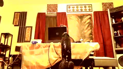 Snapshot of gatewaylaptop2019 chatting on March 2025 07:56:02 AM gatewaylaptop2019 online show from March 2025 07:56:02 AM