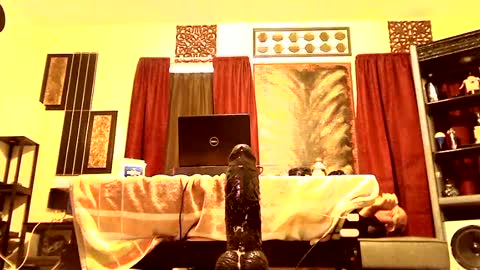 Snapshot of gatewaylaptop2019 chatting on March 2025 02:10:02 PM gatewaylaptop2019 online show from March 2025 02:10:02 PM