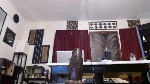 gatewaylaptop2019 online show from April 2026 06:10:01 PM