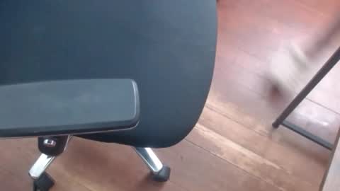 Marco online show from April 2026 02:42:01 PM