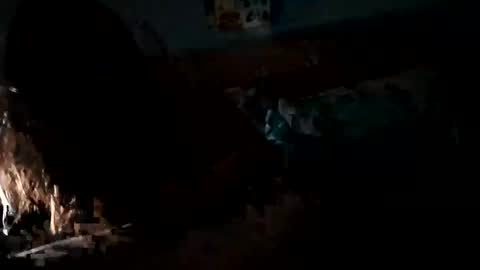 Daddy Gator online show from February 2025 07:55:01 AM