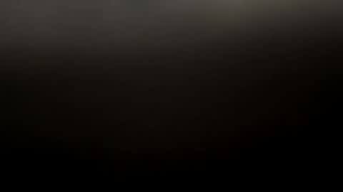 Snapshot of gdx129 chatting on January 2025 05:01:01 AM Gdx00 online show from January 2025 05:01:01 AM