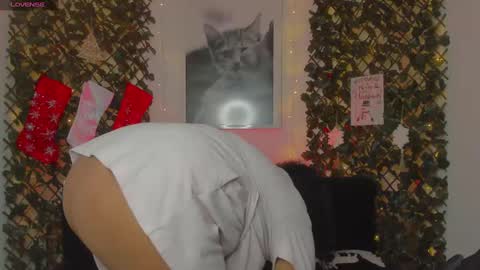 Snapshot of geminis_grey chatting on January 2025 01:45:02 AM Geminis online show from January 2025 01:45:02 AM