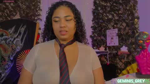 Snapshot of geminis_grey chatting on February 2025 12:19:01 AM Geminis online show from February 2025 12:19:01 AM