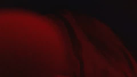 genitalwars online show from March 2026 02:17:02 AM