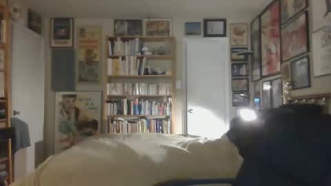 Steve online show from November 2025 07:42:02 AM