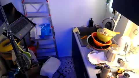 georgempt online show from January 2025 06:20:01 AM