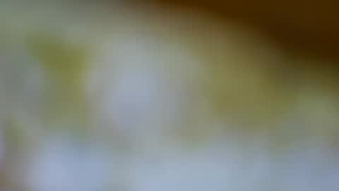 germanandy71 online show from November 2025 12:00:02 PM