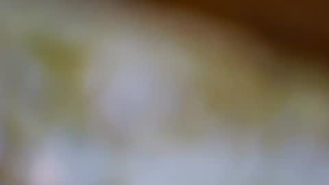 germanandy71 online show from November 2025 08:14:01 AM