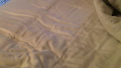 Snapshot of getmehard4213 chatting on December 2024 03:22:02 PM Luscious online show from December 2024 03:22:02 PM