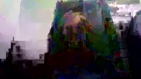 ghardh3 online show from February 2025 05:05:02 AM