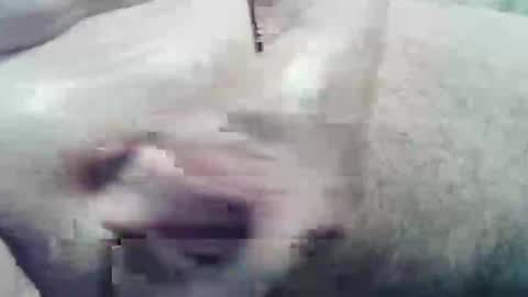 Snapshot of ghost1805 chatting on December 2024 02:05:01 AM ghost1805 online show from December 2024 02:05:01 AM