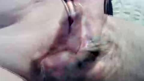 Snapshot of ghost1805 chatting on September 2025 09:04:02 PM ghost1805 online show from September 2025 09:04:02 PM