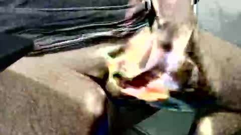 Snapshot of ghost1805 chatting on October 2025 03:51:02 AM ghost1805 online show from October 2025 03:51:02 AM