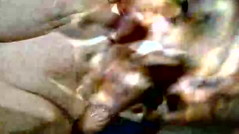 Snapshot of ghost1805 chatting on October 2025 09:16:01 PM ghost1805 online show from October 2025 09:16:01 PM