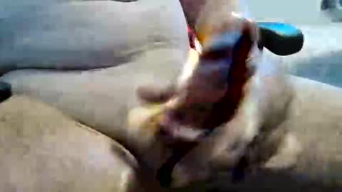 ghost1805 online show from November 2025 11:26:01 PM