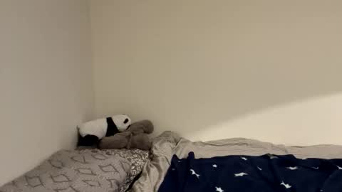 ghostpetal online show from December 2025 12:17:02 AM