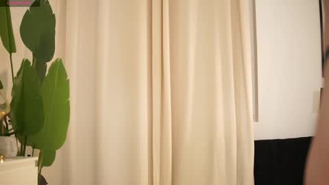 giainked online show from April 2026 10:41:02 PM