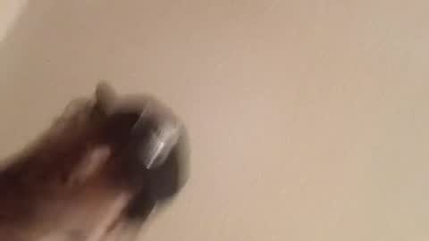 Snapshot of giantdick4u1991 chatting on July 2026 07:23:02 AM giantdick4u1991 online show from July 2026 07:23:02 AM