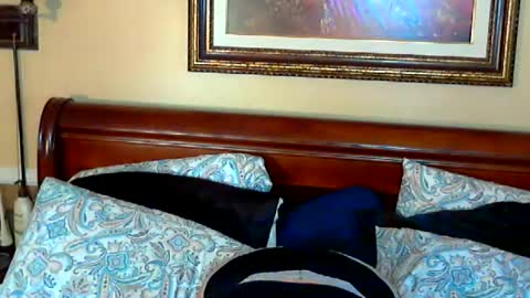 Snapshot of ginny_rose chatting on May 2026 09:33:02 PM Ginny Rose online show from May 2026 09:33:02 PM