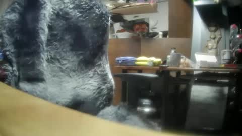 giovanne1 online show from December 2024 06:22:02 AM