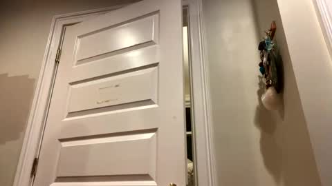 Lets get wierd online show from October 2025 03:14:01 AM