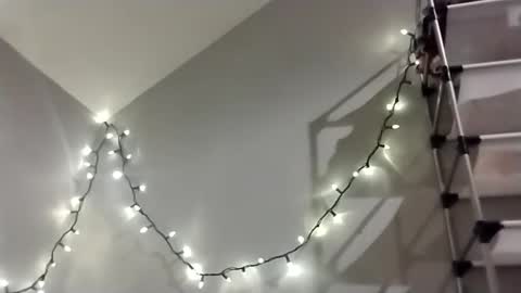 glizzy4u online show from October 2025 10:45:01 AM