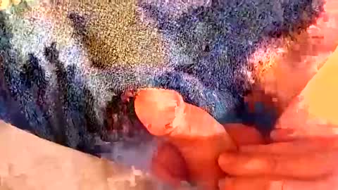 Gman online show from March 2025 06:27:01 AM