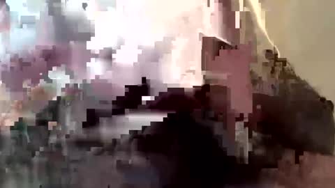 gmenocal21 online show from February 2025 07:58:01 PM