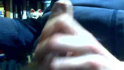 PencilDick online show from July 2026 10:13:01 AM