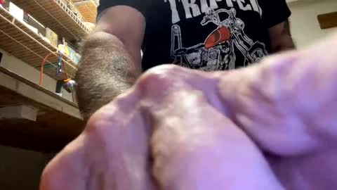 Snapshot of gngnxxx chatting on October 2025 04:45:01 AM gngnxxx online show from October 2025 04:45:01 AM