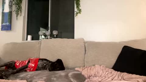 GoddessMayvn online show from December 2024 10:16:01 AM